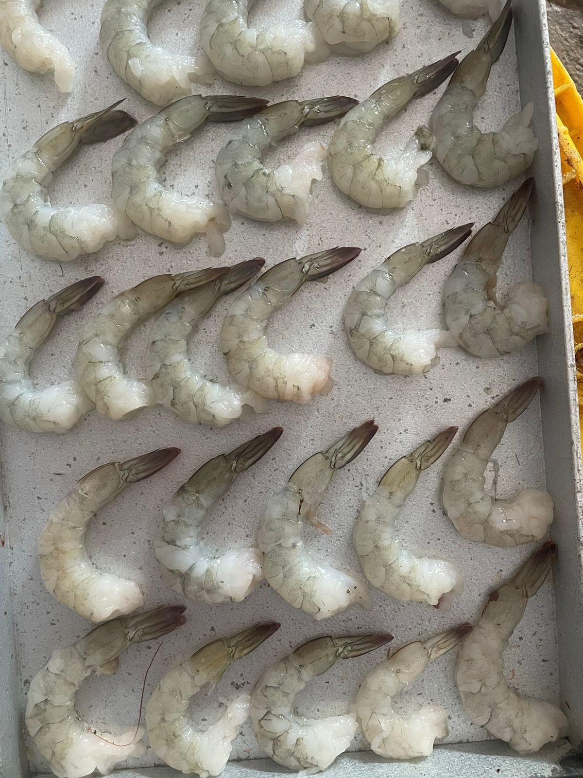 Frozen prawns